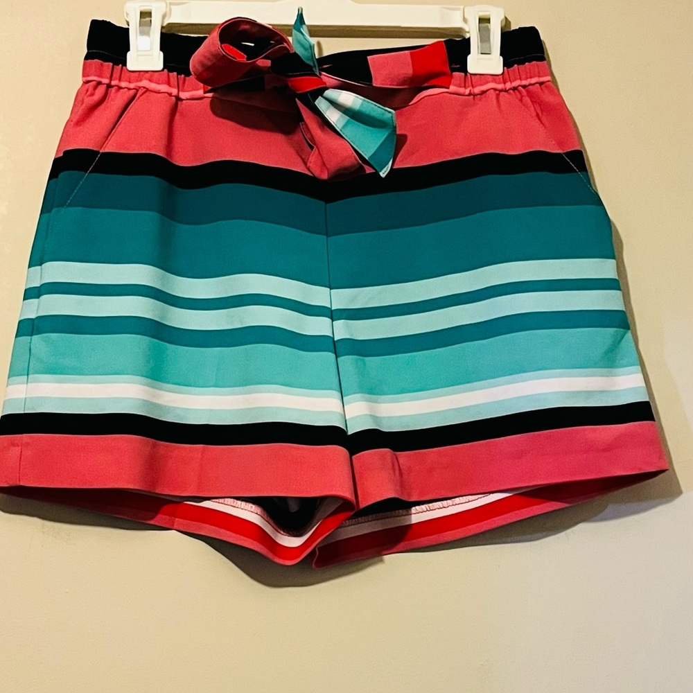 Multi colored stripe shorts from New York and company